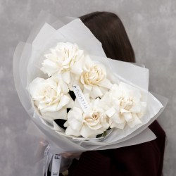belaya roza francuzskaya roza 5 roz250